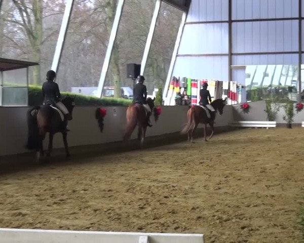 Winterchampionat Essen-Stadtwald 2016