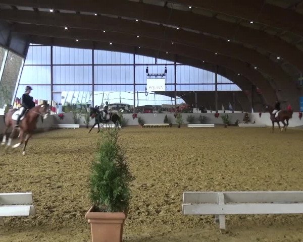 Winterchampionat Essen-Stadtwald 2016