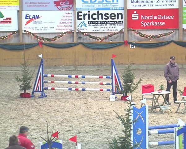 Reitturnier Leck 2016