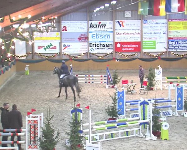 Reitturnier Leck 2016
