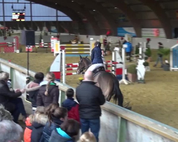 Winterchampionat Essen-Stadtwald 2016
