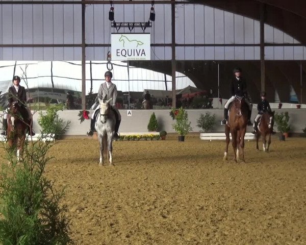 Winterchampionat Essen-Stadtwald 2016