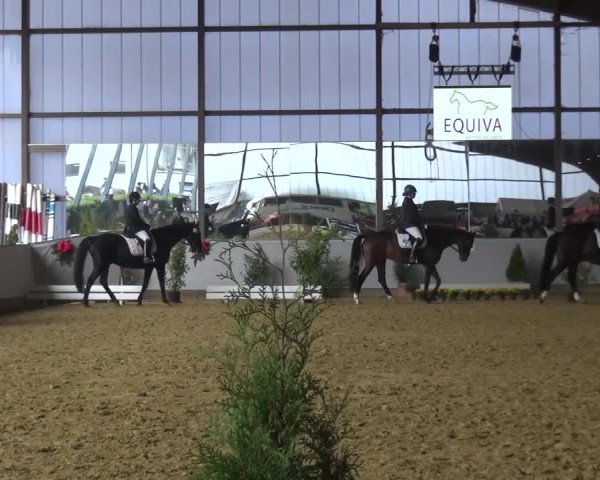 Winterchampionat Essen-Stadtwald 2016