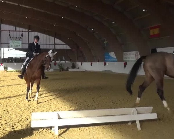 Winterchampionat Essen-Stadtwald 2016