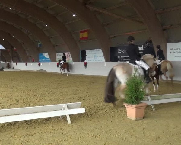 Winterchampionat Essen-Stadtwald 2016