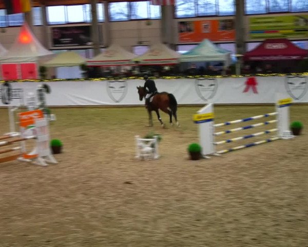 Christmas Jumping Trophy Prussendorf 2021