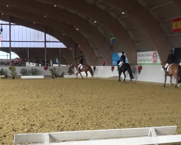 Winterchampionat Essen-Stadtwald 2016