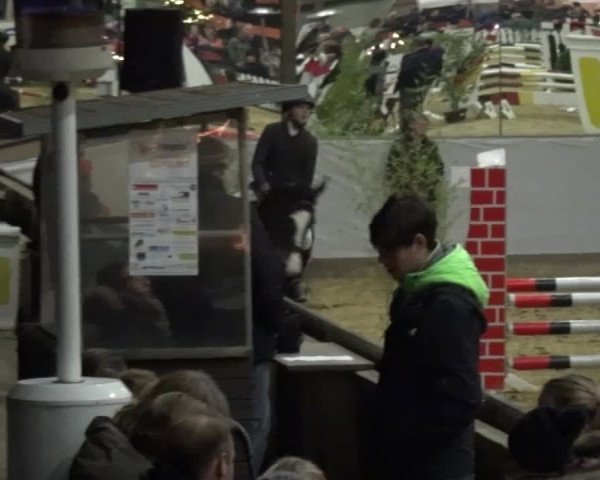 Winterchampionat Essen-Stadtwald 2016