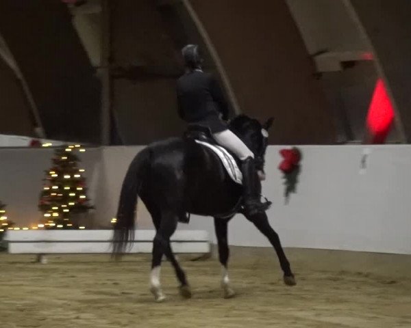 Winterchampionat Essen-Stadtwald 2016