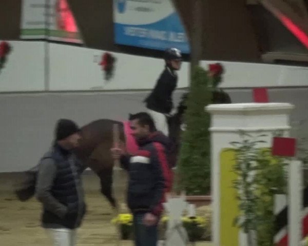 Winterchampionat Essen-Stadtwald 2016