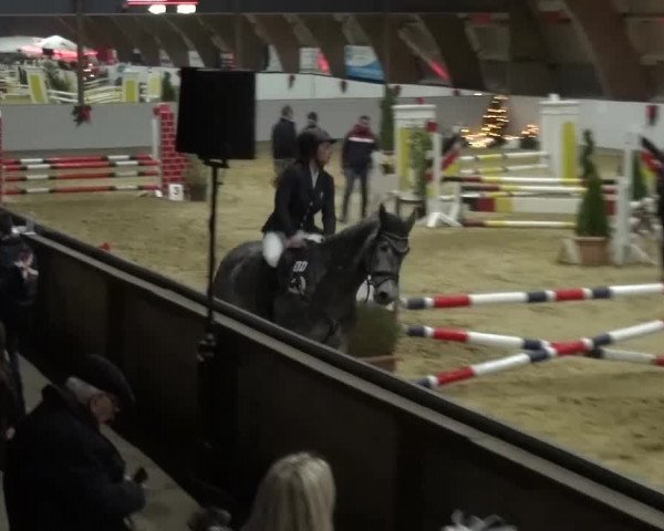 Winterchampionat Essen-Stadtwald 2016