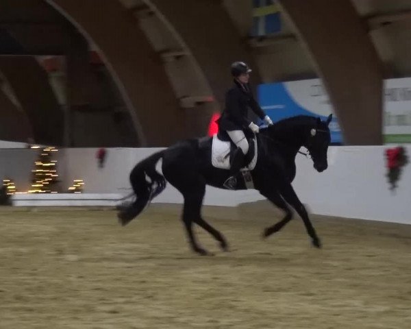 Winterchampionat Essen-Stadtwald 2016