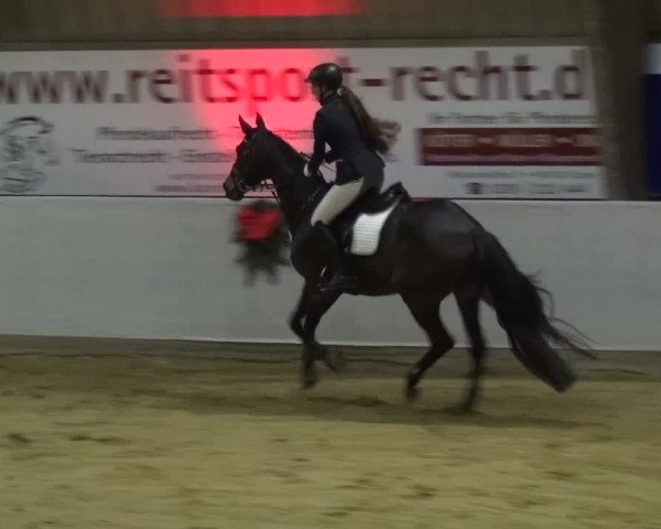 Winterchampionat Essen-Stadtwald 2016