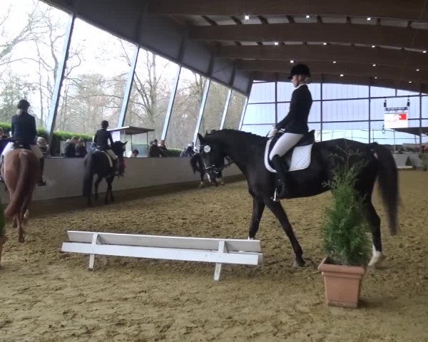 Winterchampionat Essen-Stadtwald 2016