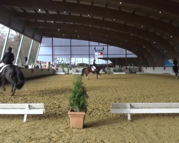 Winterchampionat Essen-Stadtwald 2016