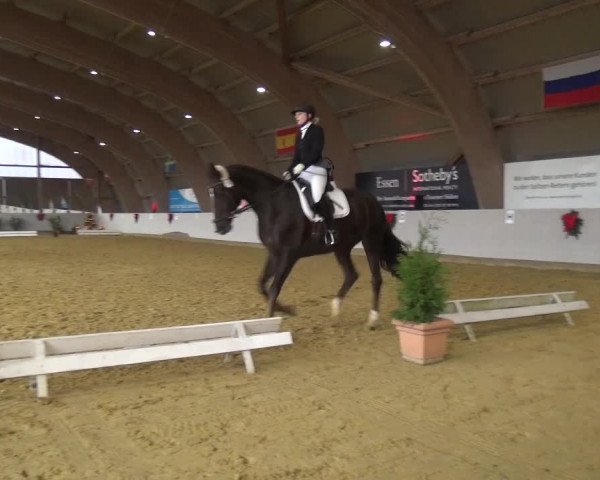 Winterchampionat Essen-Stadtwald 2016