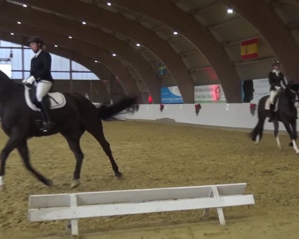 Winterchampionat Essen-Stadtwald 2016