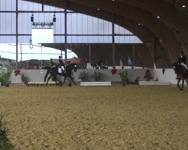 Winterchampionat Essen-Stadtwald 2016