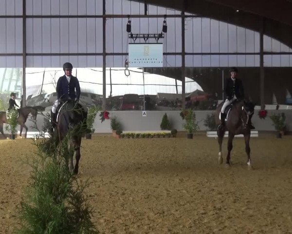 Winterchampionat Essen-Stadtwald 2016