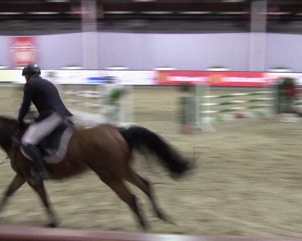 Hallen-Reitturnier Münster-Handorf 2016