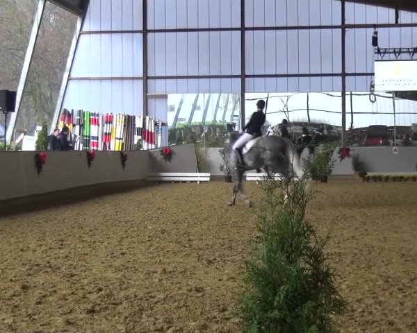 Winterchampionat Essen-Stadtwald 2016