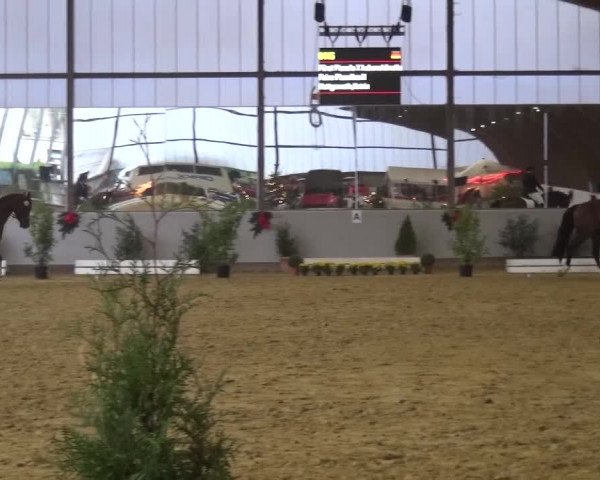 Winterchampionat Essen-Stadtwald 2016