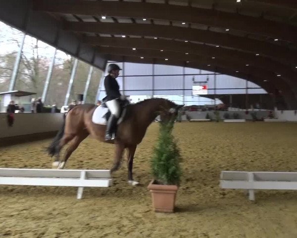 Winterchampionat Essen-Stadtwald 2016