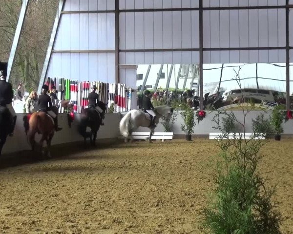 Winterchampionat Essen-Stadtwald 2016