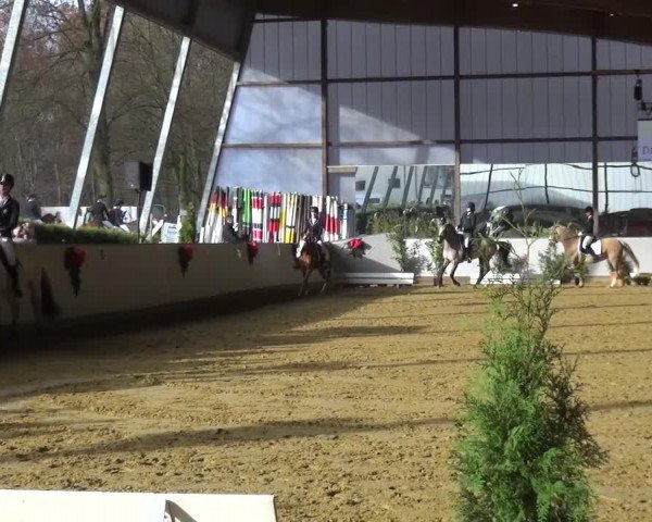 Winterchampionat Essen-Stadtwald 2016