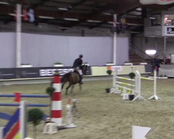 Hallen-Reitturnier Münster-Handorf 2016