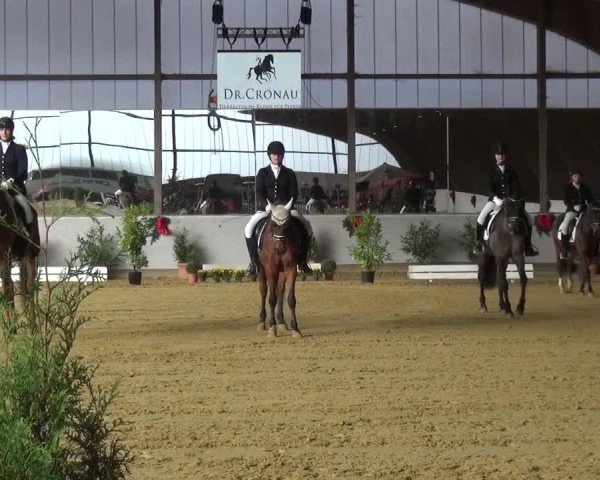 Winterchampionat Essen-Stadtwald 2016