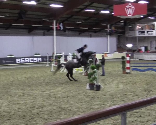 Hallen-Reitturnier Münster-Handorf 2016