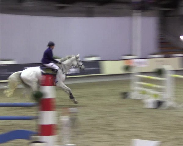Hallen-Reitturnier Münster-Handorf 2016
