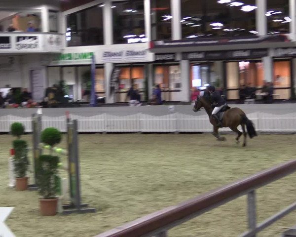 Hallen-Reitturnier Münster-Handorf 2016