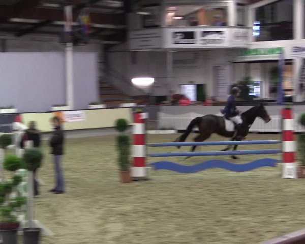 Hallen-Reitturnier Münster-Handorf 2016
