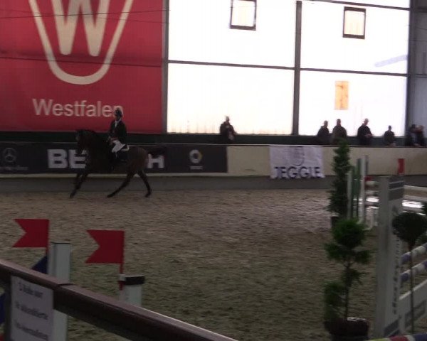 Hallen-Reitturnier Münster-Handorf 2016