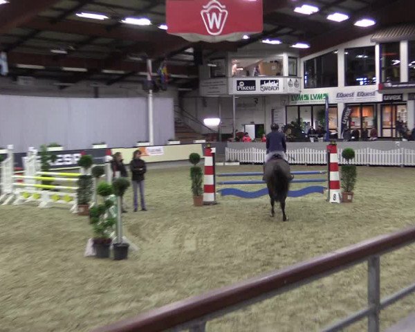 Hallen-Reitturnier Münster-Handorf 2016
