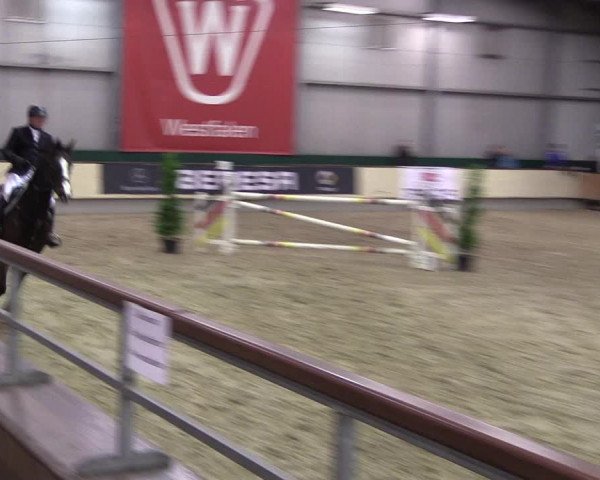 Hallen-Reitturnier Münster-Handorf 2016