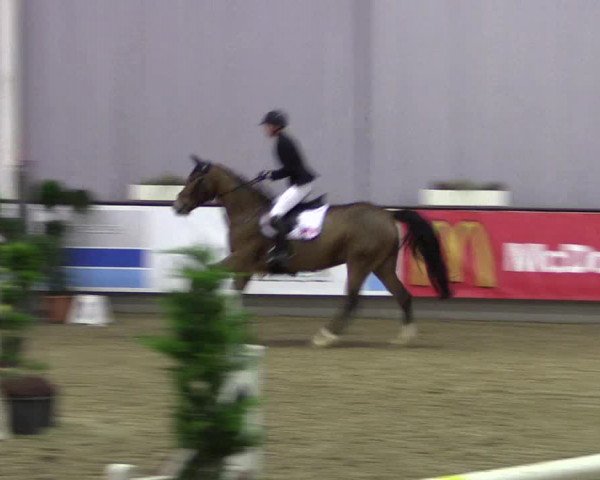 Hallen-Reitturnier Münster-Handorf 2016