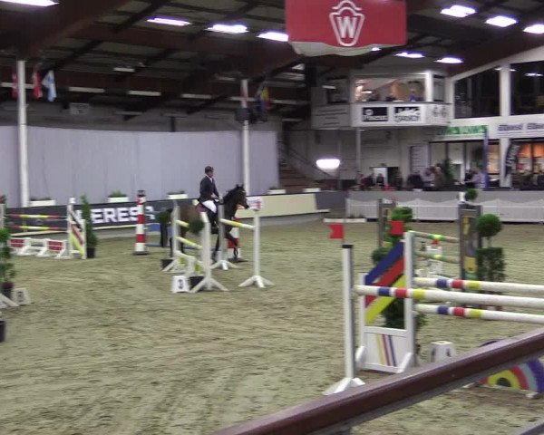Hallen-Reitturnier Münster-Handorf 2016