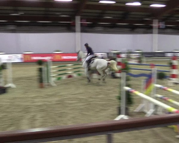 Hallen-Reitturnier Münster-Handorf 2016