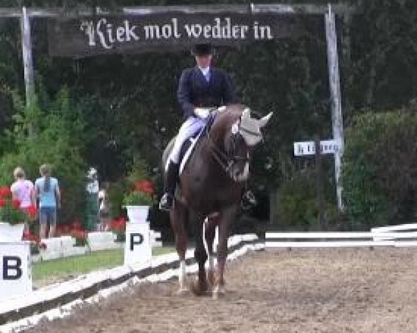 stallion Floyd 55 (Westphalian, 2002, from Florestan I)