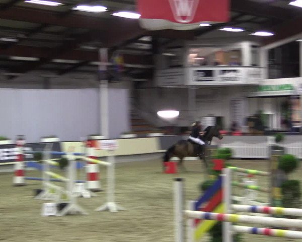 Hallen-Reitturnier Münster-Handorf 2016