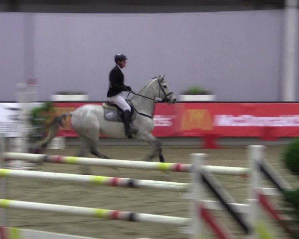 Hallen-Reitturnier Münster-Handorf 2016