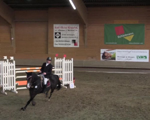 Hallen-Reitturnier Paderborn 2016