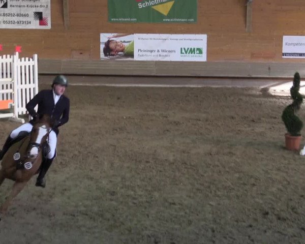 Hallen-Reitturnier Paderborn 2016