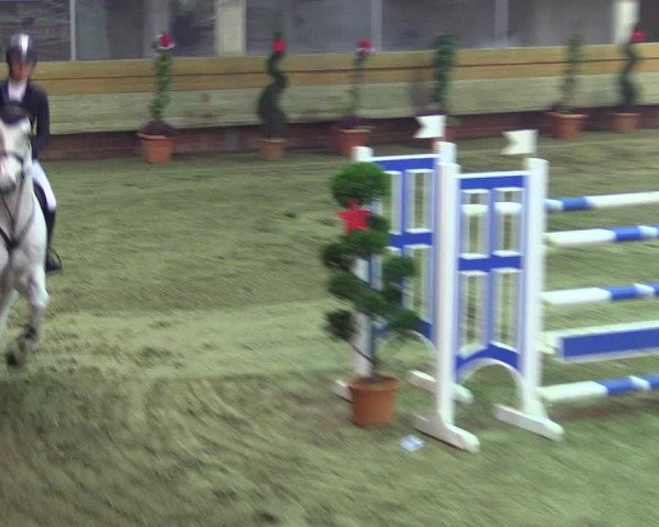 Hallen-Reitturnier Paderborn 2016