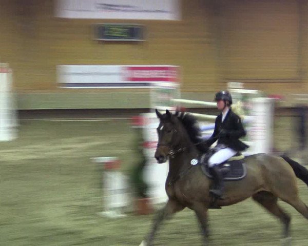 Hallen-Reitturnier Paderborn 2016
