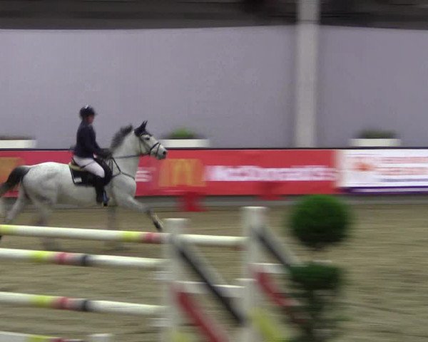 Hallen-Reitturnier Münster-Handorf 2016
