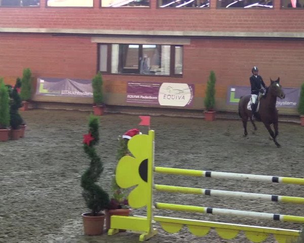 Hallen-Reitturnier Paderborn 2016
